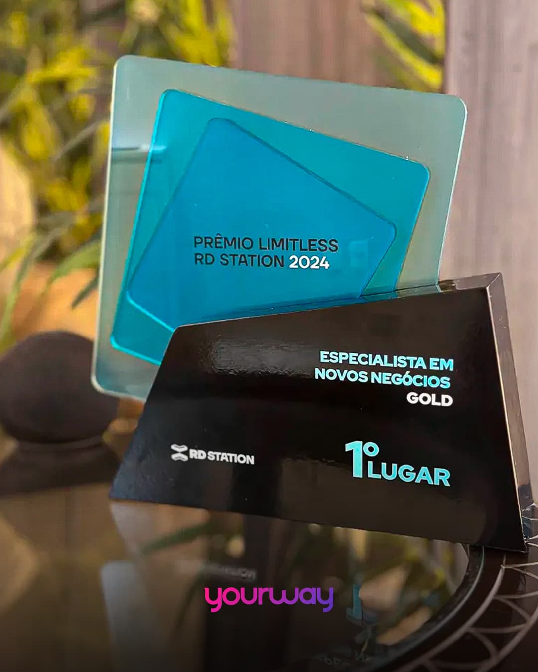 Especialista em Novos Negócios